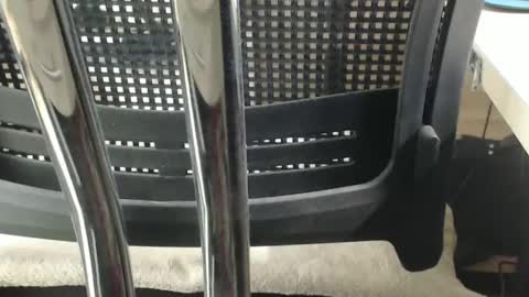 jc200000 online show from 17, 2, 2025