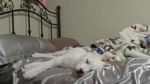 Jack online show from 2, 2, 2026