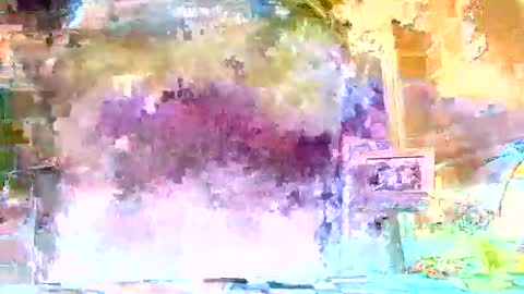 jcvgikjqxima online show from 17, 5, 2026