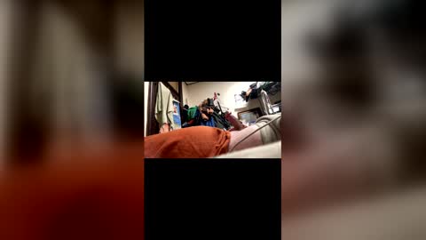 jdmas1220 online show from 20, 4, 2026