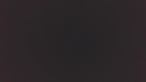 jdog00133 online show from 16, 11, 2025