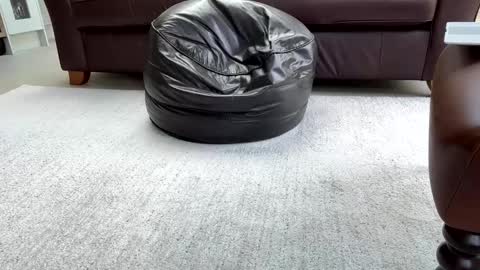 Sensual Jeeves online show from 25, 2, 2025