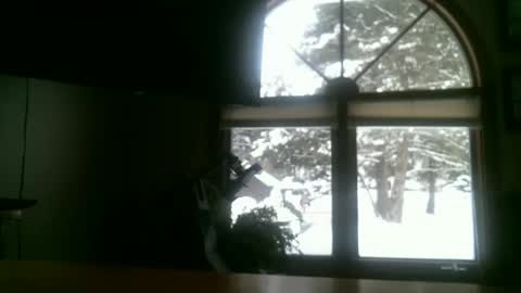 jeffbate online show from 12, 2, 2025