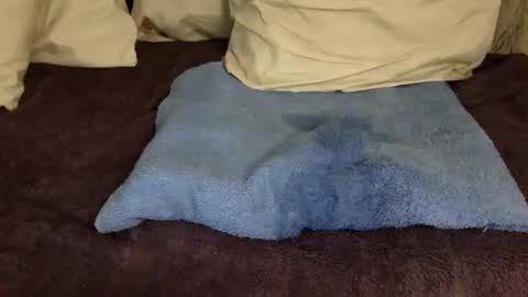 Jelli and Melli online show from 10, 3, 2025