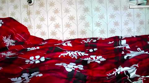 jellykulli online show from 31, 12, 2024