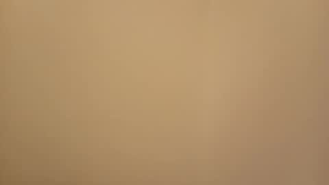 jemini0 online show from 16, 3, 2026