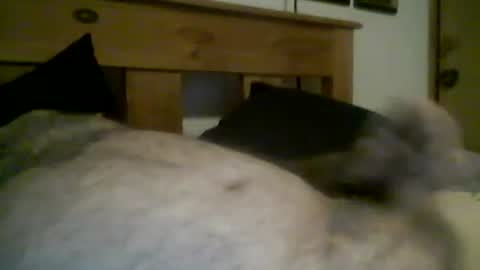 jerkmate6666 online show from 12, 3, 2026