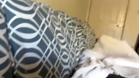 Jerkstar16 online show from 5, 12, 2024