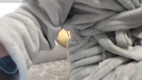 jessieryan online show from 17, 1, 2025