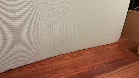 Snapshot of jetzzurssi chatting on 16, 1, 2026 me online show from 16, 1, 2026