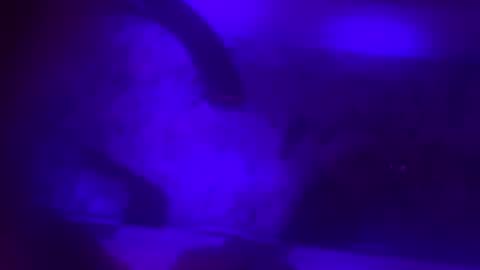 Jessica online show from 8, 2, 2025