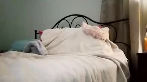 Jimz14u online show from 4, 1, 2025