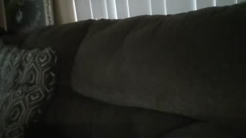 Snapshot of jj350ss chatting on 2, 12, 2024 jj350ss online show from 2, 12, 2024