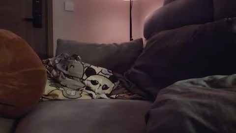 jj_jayjayq online show from 8, 2, 2026