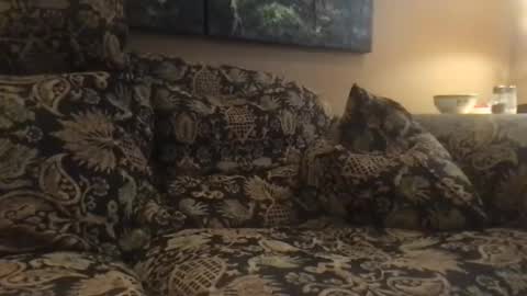 jlk7777 online show from 4, 12, 2024