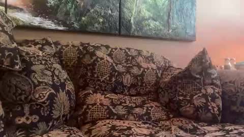 jlk7777 online show from 26, 4, 2026