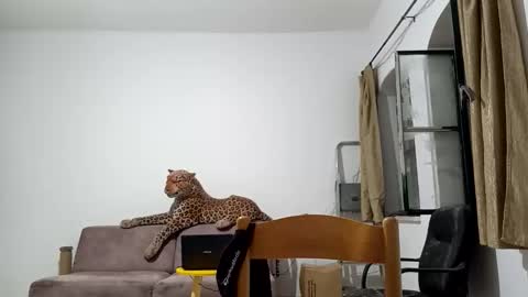 jlmbud online show from 20, 10, 2025