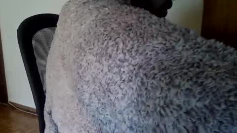 joaodias_18 online show from 13, 12, 2024