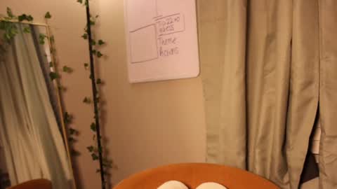 JoJo 3   online show from 7, 10, 2025