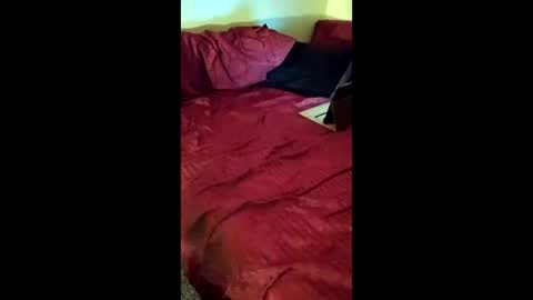 Snapshot of joeborrowman7 chatting on 1, 3, 2026 joeborrowman7 online show from 1, 3, 2026