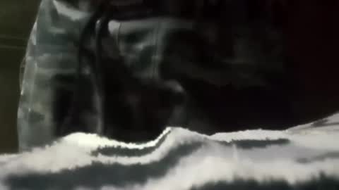 joehard699 online show from 2, 1, 2025