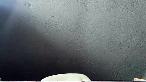 Snapshot of john_marston2 chatting on 29, 5, 2026 John Marston online show from 29, 5, 2026