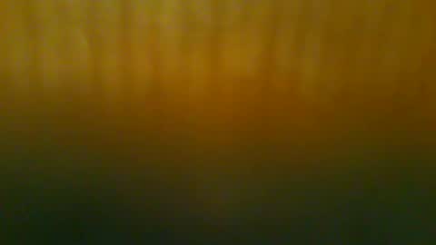 johnnyshung1 online show from 21, 12, 2025