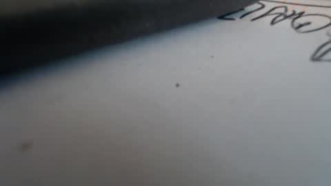 Snapshot of johnnyssunshine chatting on 25, 10, 2025 johnnyssunshine online show from 25, 10, 2025