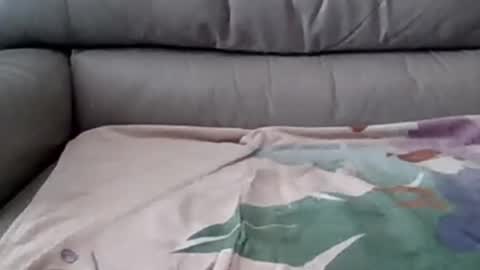 Snapshot of johnpauljones chatting on 5, 3, 2025 bigger than some online show from 5, 3, 2025