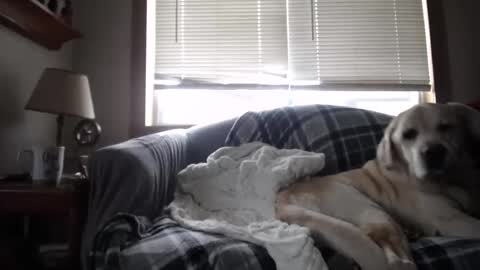 Johston online show from 5, 11, 2025