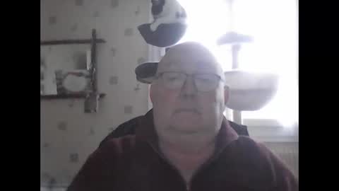 jojo60000529566 online show from 7, 12, 2024