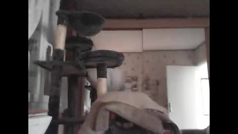 jojo60000529566 online show from 4, 3, 2025