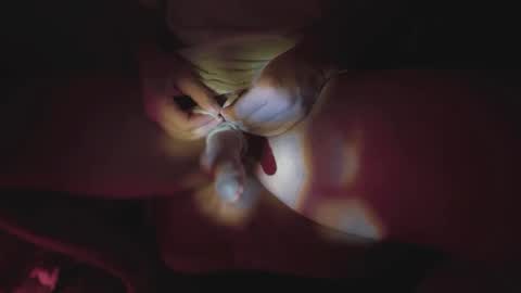 Snapshot of jonahshyfap chatting on 9, 1, 2025 jonahshyfap online show from 9, 1, 2025