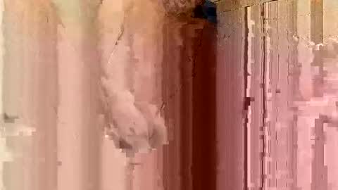 jonathanrossmyers858 online show from 21, 1, 2025