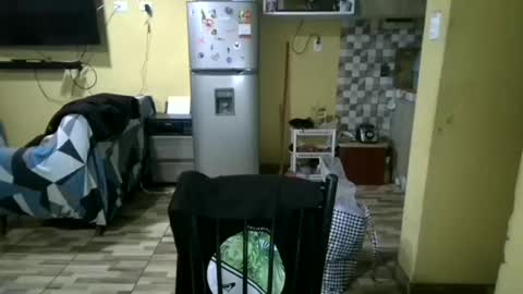 jordan281995 online show from 26, 10, 2025