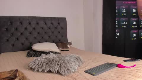 Will online show from 28, 12, 2024