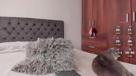 Will online show from 20, 10, 2025