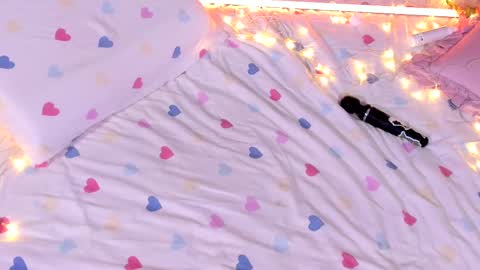 Rose online show from 1, 3, 2025