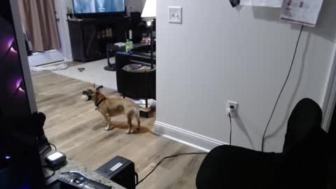 Josef online show from 15, 1, 2026