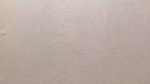 Snapshot of joseph_palacios chatting on 13, 9, 2025 joseph palacios online show from 13, 9, 2025