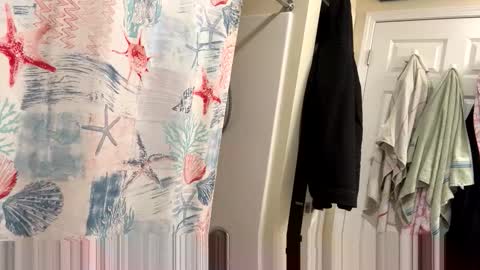 sissy josphine online show from 3, 2, 2026