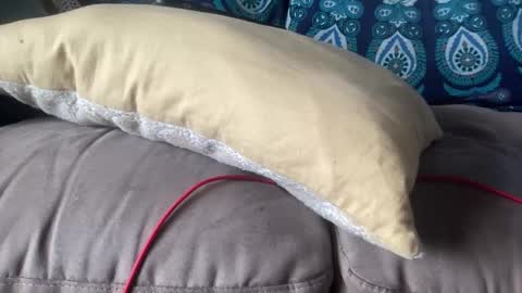 Snapshot of joshperrygoon chatting on 19, 12, 2024 joshperrygoon online show from 19, 12, 2024