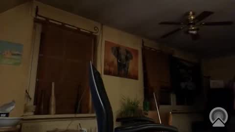 jott604214 online show from 8, 3, 2026