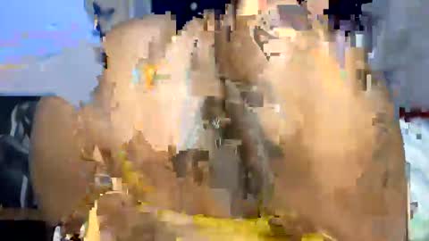 Butterflyass online show from 5, 1, 2025