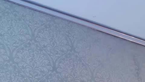 juanita online show from 12, 2, 2026