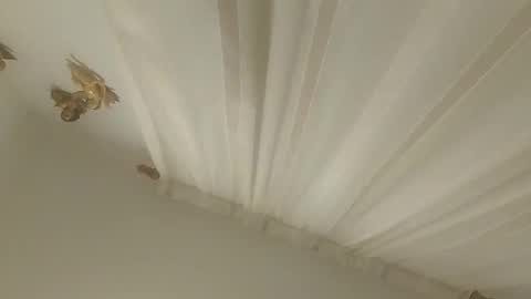 JuanmaSEX online show from 14, 11, 2025