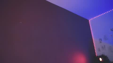 Arina online show from 26, 12, 2024