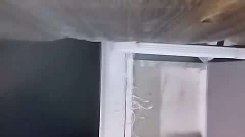 Snapshot of jugg3 chatting on 9, 12, 2024 Carlos online show from 9, 12, 2024