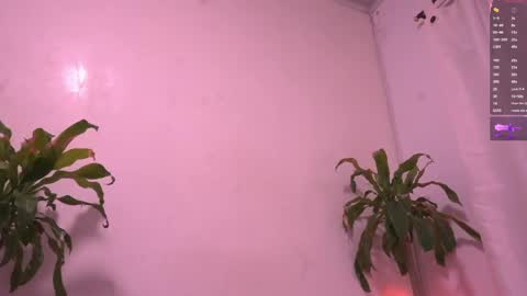 Snapshot of juice6abby9 chatting on 15, 5, 2026 Sisi online show from 15, 5, 2026