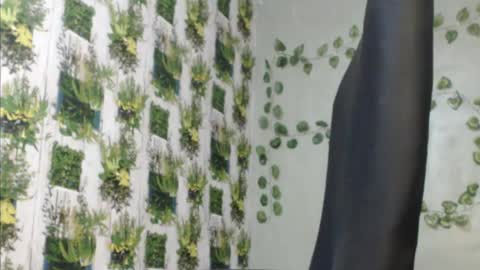 Snapshot of juicy_gold22 chatting on 9, 12, 2024 Mariagold online show from 9, 12, 2024